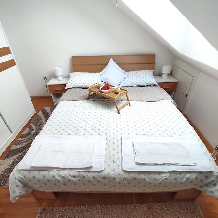 נובי סאד Apartman Ns Dan Private Parking מראה חיצוני תמונה